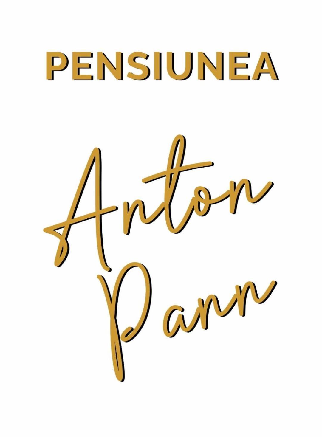Pensiunea Anton Pann Sibiu Exterior foto